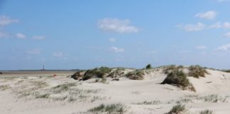 Die unberührte Natur Dänemarks