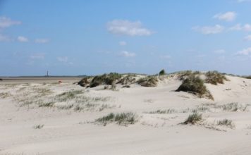 Die unberührte Natur Dänemarks