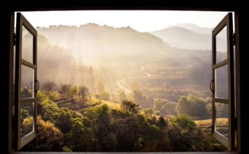 Reisetipps für Tallahassee